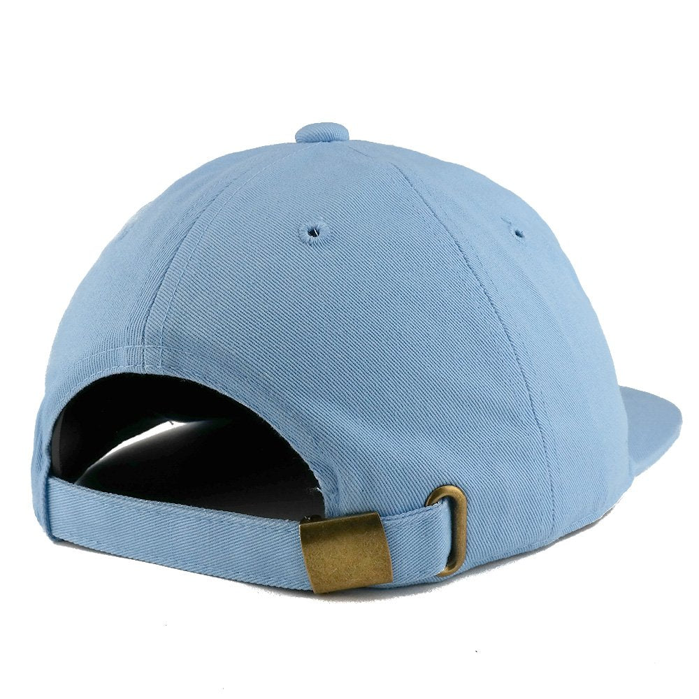 Trendy Apparel Shop Low Profile Plain Unstructured Crown Flatbill Snapback Cap