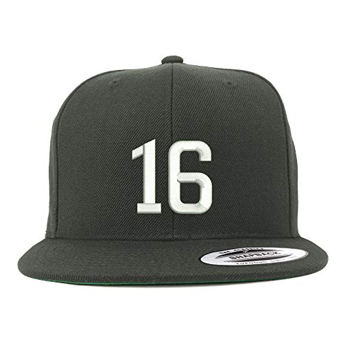 Trendy Apparel Shop Number 16 Embroidered Snapback Flatbill Baseball Cap