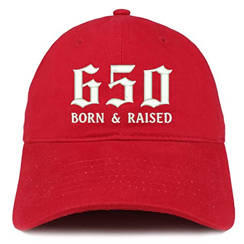 Trendy Apparel Shop 650 Born and Raised San Francisco Embroidered Brushed Cap