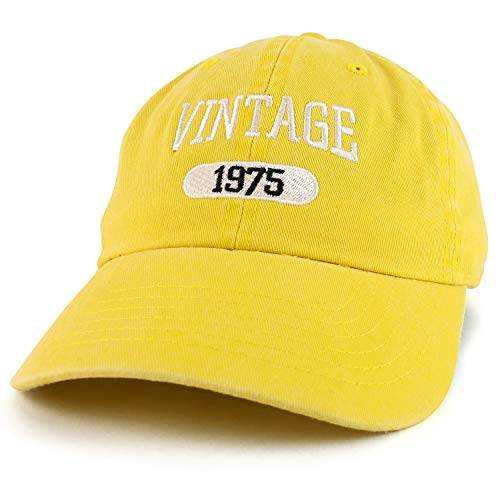 Trendy Apparel Shop 45th Birthday Vintage 1976 Washed Cotton Adjustable Cap