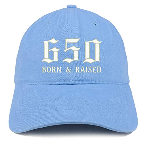 Trendy Apparel Shop 650 Born and Raised San Francisco Embroidered Brushed Cap