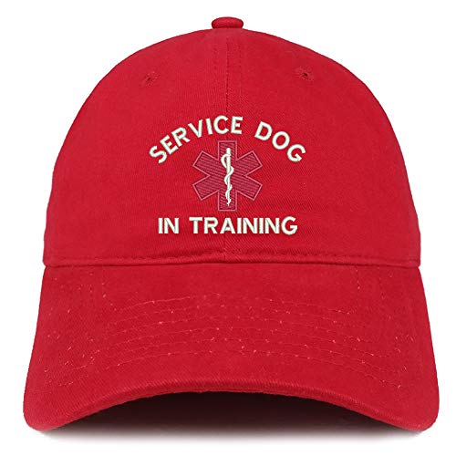 Trendy Apparel Shop Service Dog in Training Medical Symbol Embroidered Brushed Cap