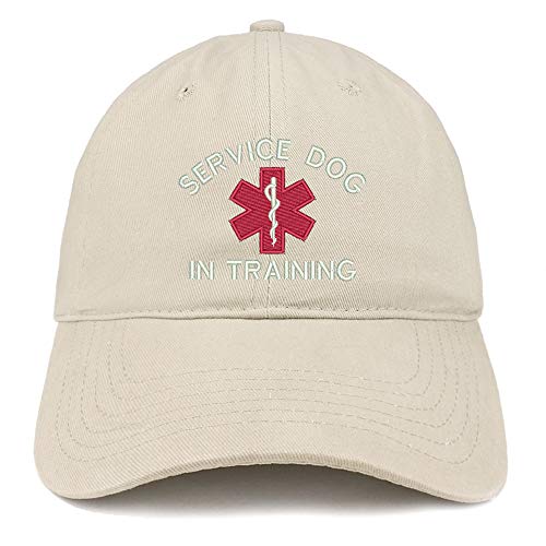 Trendy Apparel Shop Service Dog in Training Medical Symbol Embroidered Brushed Cap