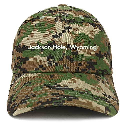 Trendy Apparel Shop Jackson Hole Wyoming Cotton Unstructured Dad Hat