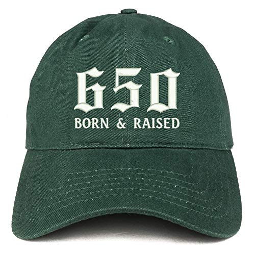 Trendy Apparel Shop 650 Born and Raised San Francisco Embroidered Brushed Cap