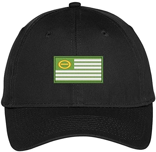 Trendy Apparel Shop Ecology Flag Embroidered Snapback Adjustable Baseball Cap