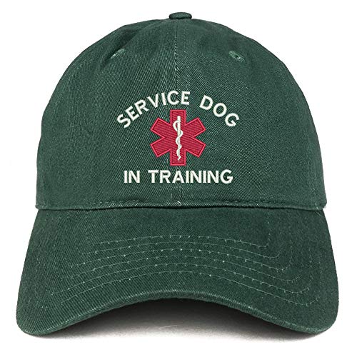 Trendy Apparel Shop Service Dog in Training Medical Symbol Embroidered Brushed Cap