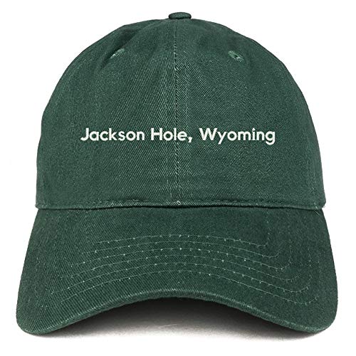 Trendy Apparel Shop Jackson Hole Wyoming Cotton Unstructured Dad Hat