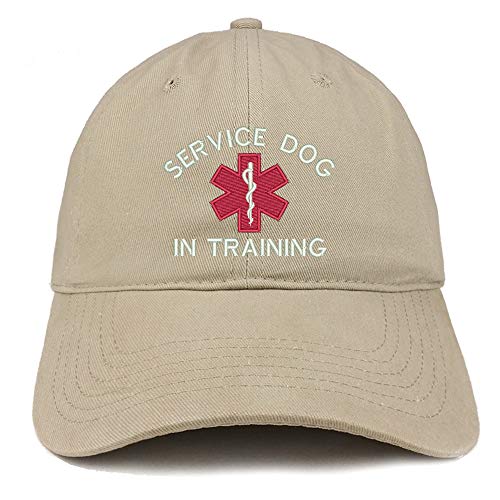 Trendy Apparel Shop Service Dog in Training Medical Symbol Embroidered Brushed Cap