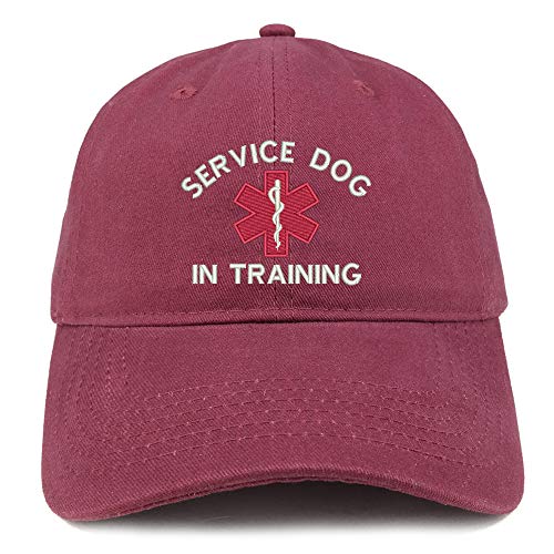 Trendy Apparel Shop Service Dog in Training Medical Symbol Embroidered Brushed Cap