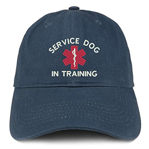 Trendy Apparel Shop Service Dog in Training Medical Symbol Embroidered Brushed Cap