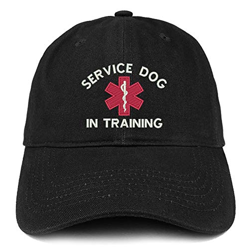 Trendy Apparel Shop Service Dog in Training Medical Symbol Embroidered Brushed Cap