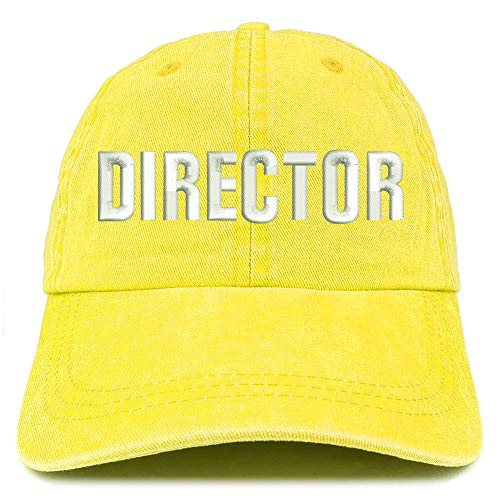 Trendy Apparel Shop Director Embroidered Washed Low Profile Cap