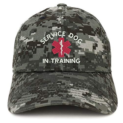 Trendy Apparel Shop Service Dog in Training Medical Symbol Embroidered Brushed Cap