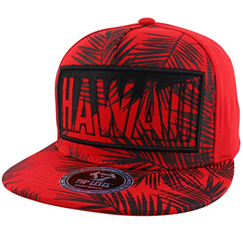 Trendy Apparel Shop Hawaii Big Box Embroidered 5 Panel Flatbill Snapback Baseball Cap