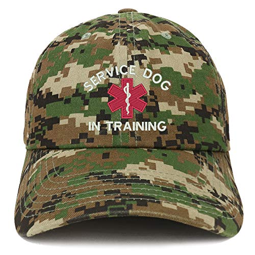 Trendy Apparel Shop Service Dog in Training Medical Symbol Embroidered Brushed Cap