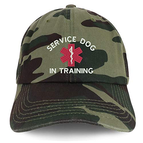 Trendy Apparel Shop Service Dog in Training Medical Symbol Embroidered Brushed Cap