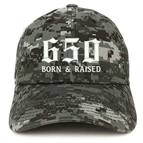 Trendy Apparel Shop 650 Born and Raised San Francisco Embroidered Brushed Cap