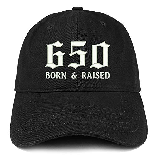 Trendy Apparel Shop 650 Born and Raised San Francisco Embroidered Brushed Cap