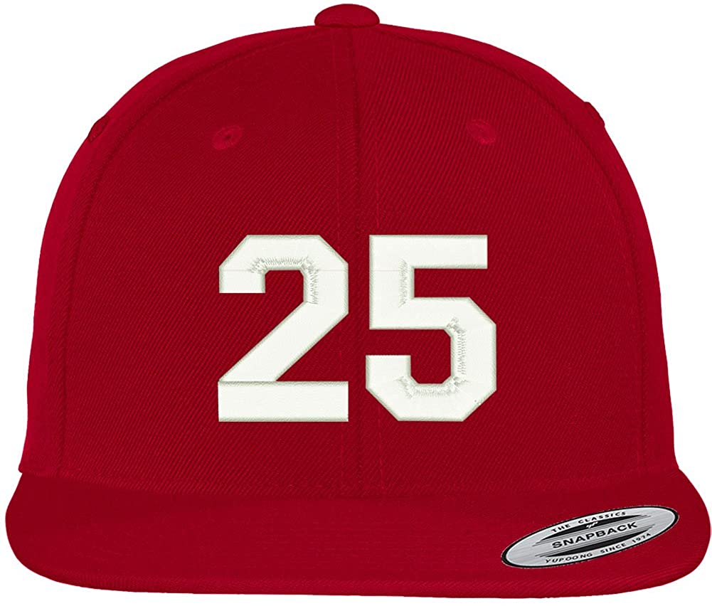 Trendy Apparel Shop Number 25 Collegiate Varsity Font Embroidered Flat Bill Snapback Cap